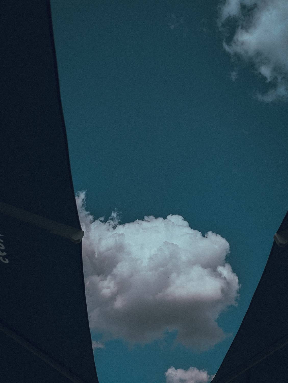 Photo #12512664