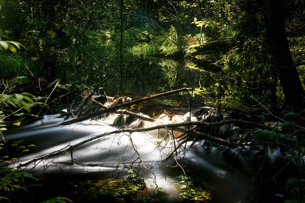 Photograph by Дарья Улюсова