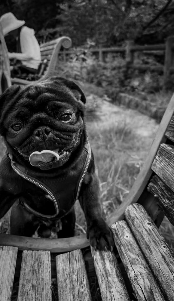 Фотография автора Mutsuaki