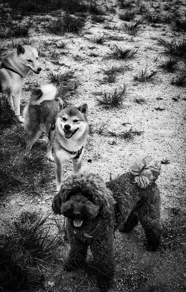 Фотография автора Mutsuaki