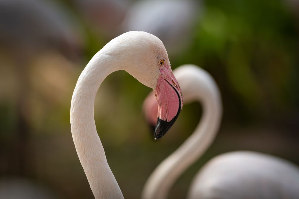 Photograph by Николай Фонарёв