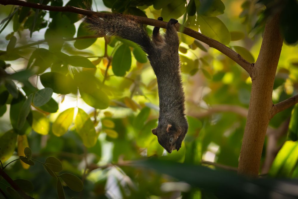 Photograph by Николай Фонарёв