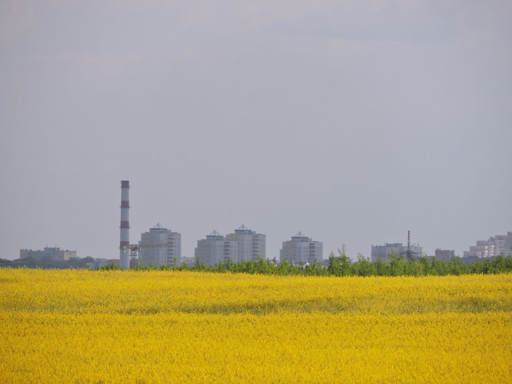 Жёлтое море / Yellow Sea