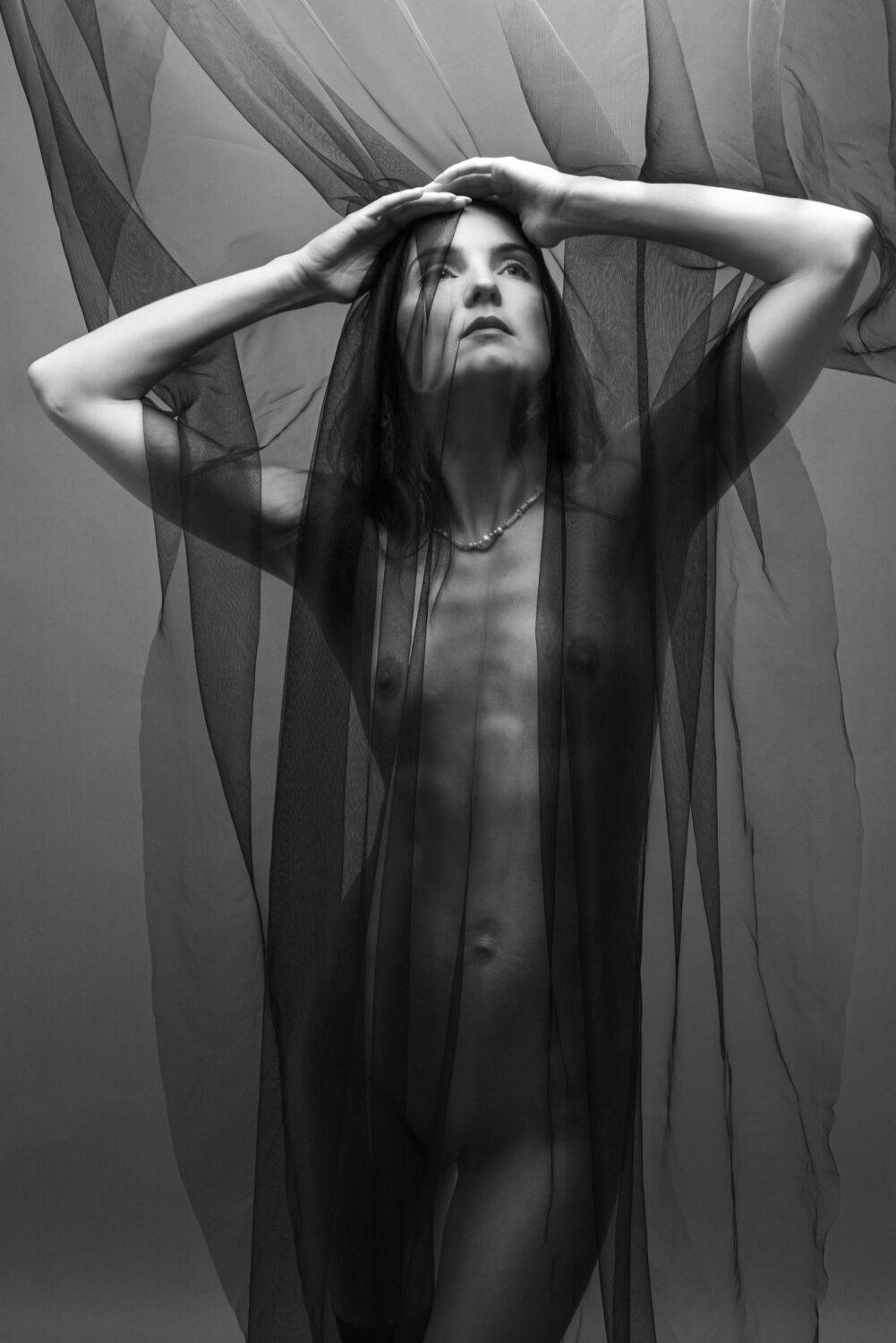 Фотография #12512742