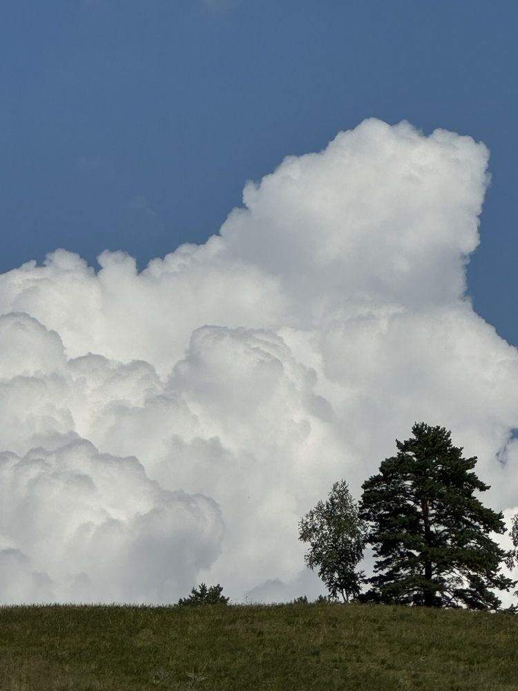 Photograph by Анастасия Самойленко