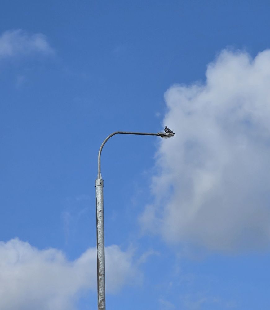 Photograph by Юлия Гусарова