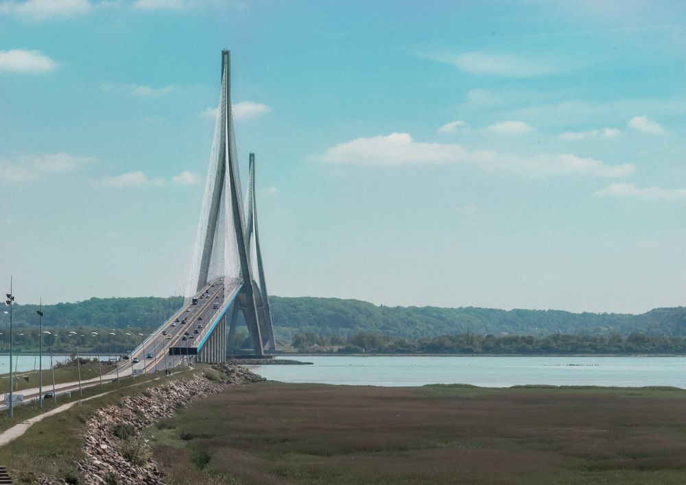 Фотография автора Вера Базилевская