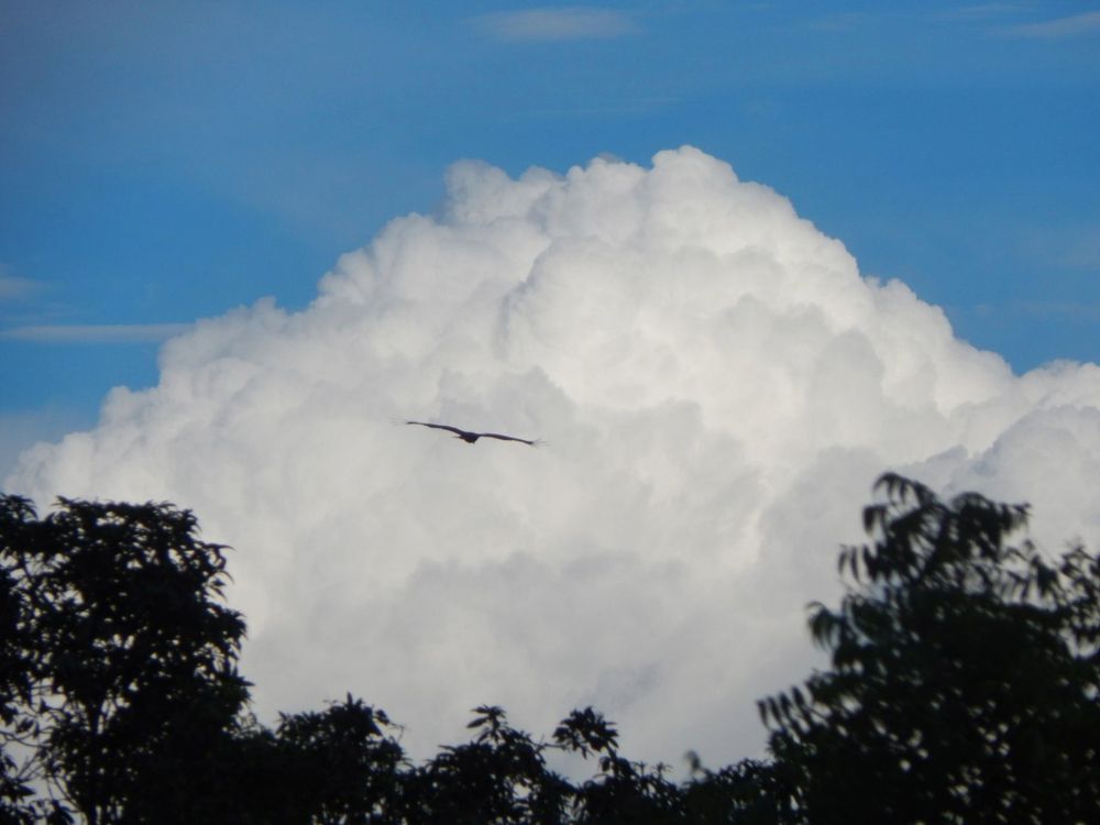 Photograph by Khushi Vashisth