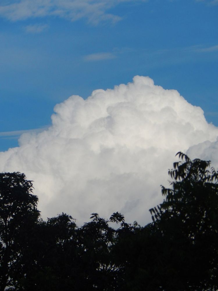 Photograph by Khushi Vashisth