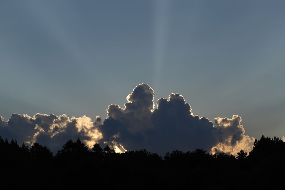 Photograph by Se Lena