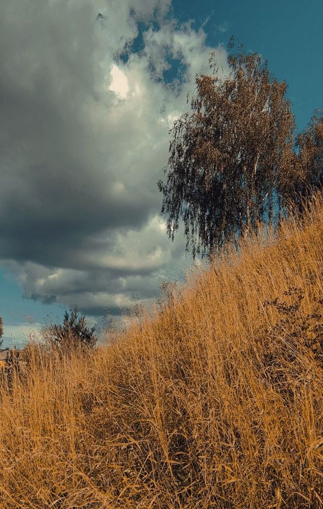 Photograph by Елена Бородулина