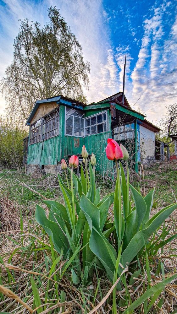 Photograph by Наташа Б.