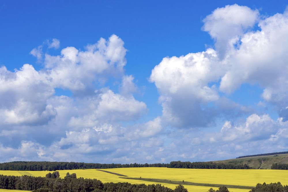 Photograph by Александр Пургин