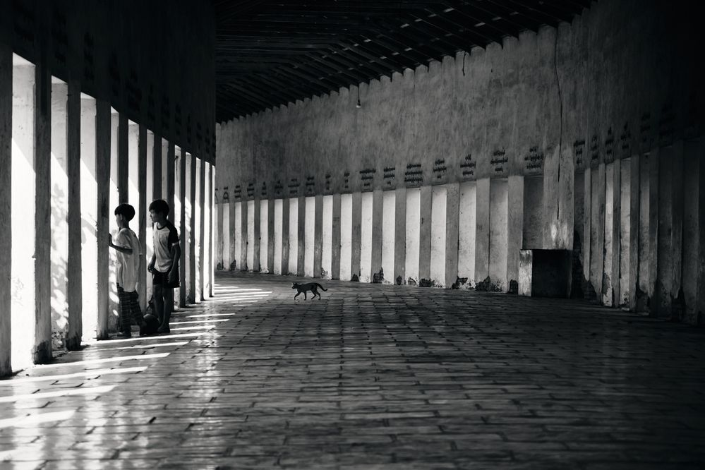 Photograph by Нина Архипова