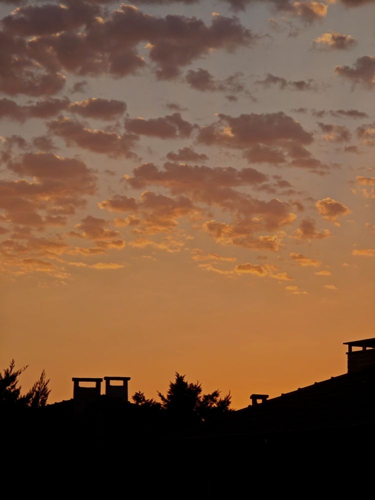 Фотография автора Svetlana Selezniova