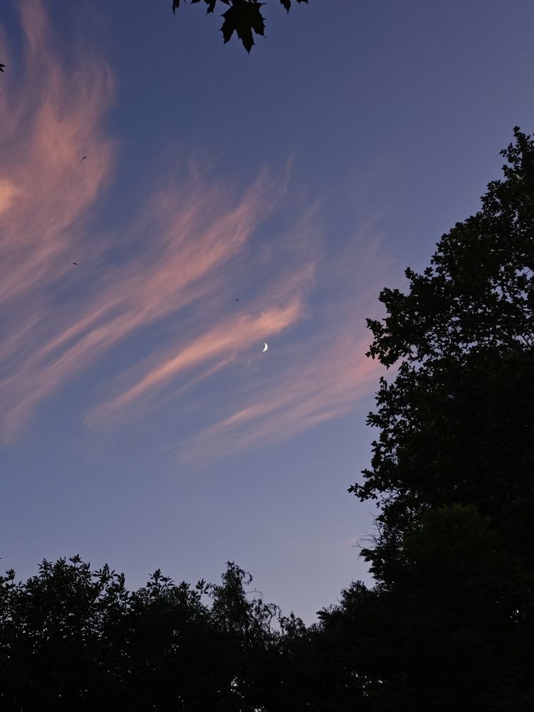 Фотография автора Svetlana Selezniova