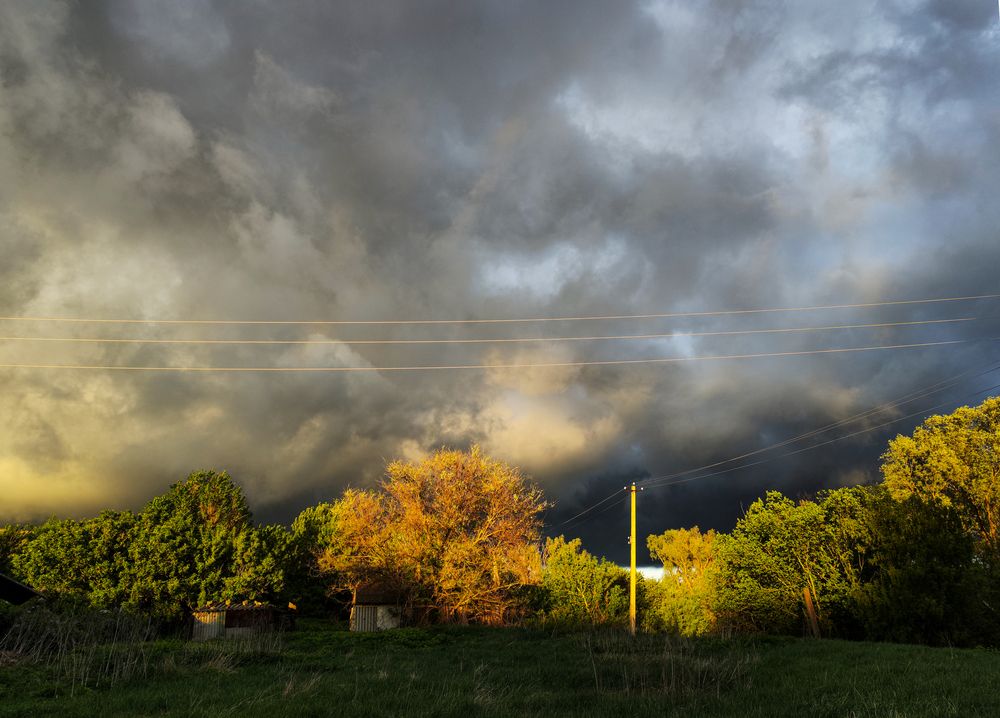 Photograph by Ирина Шибитова