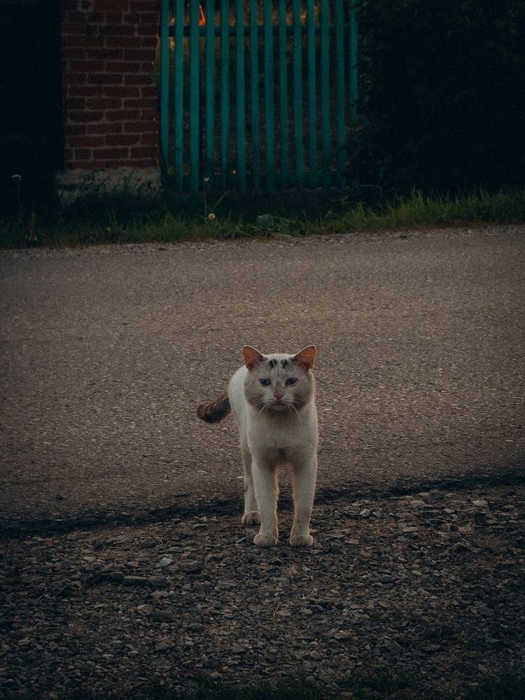 Photograph by Алёна Горошко