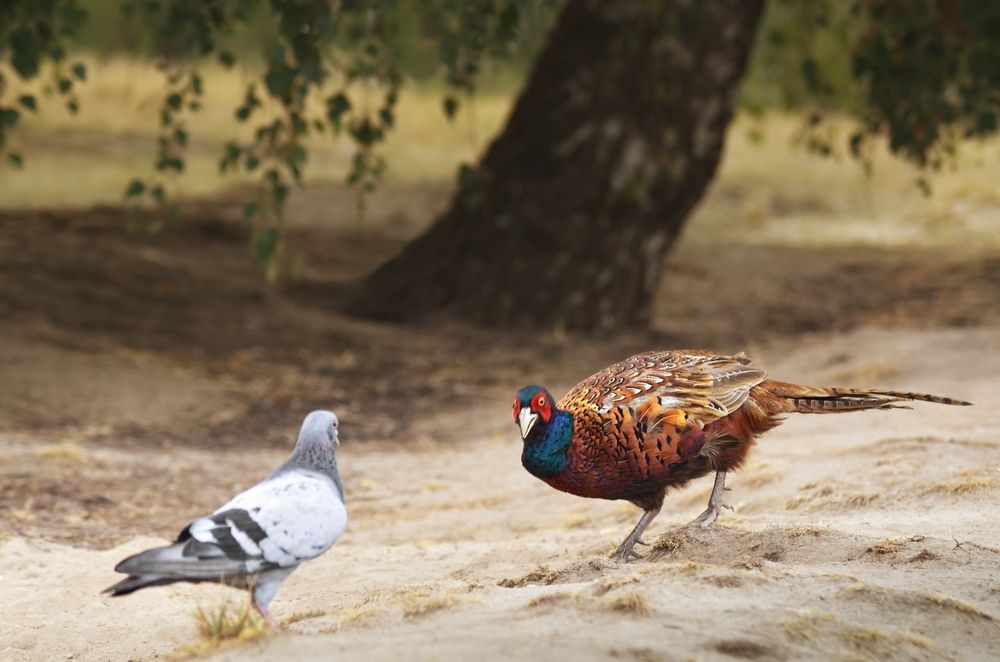 Photograph by Kveta Novotna