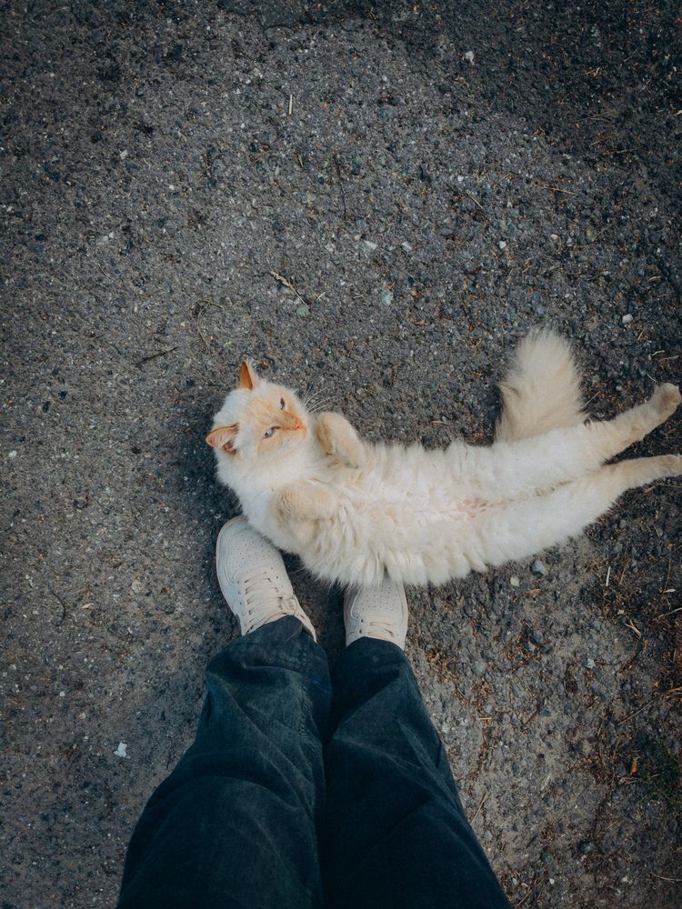 Photograph by Алёна Горошко