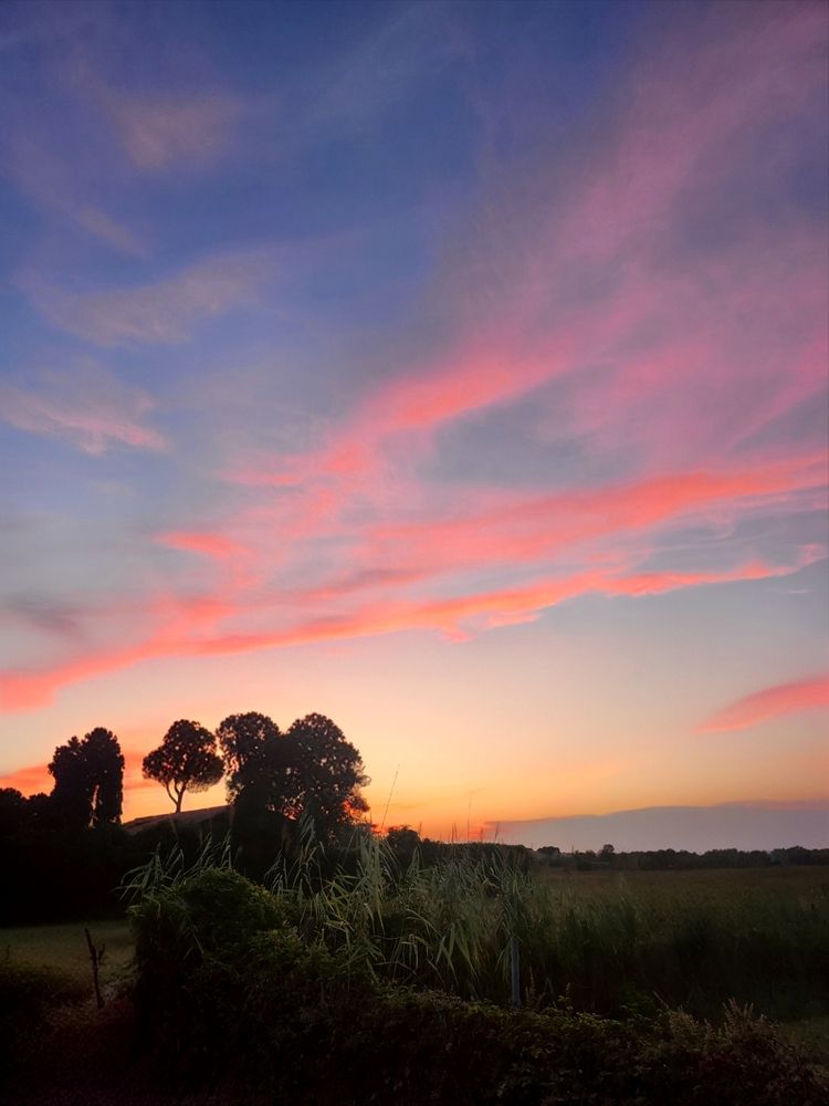 Photograph by Simona Synkova
