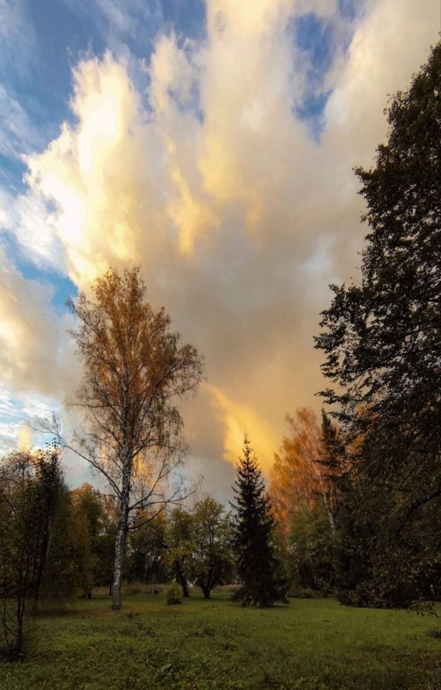 Photograph by Елена Бородулина