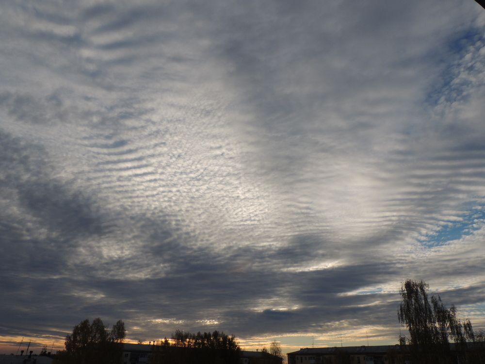 Photograph by Владимир Радченко