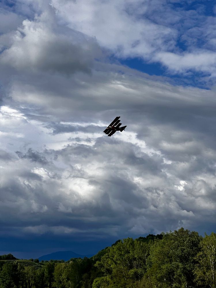 Photograph by Елена Брижеватая