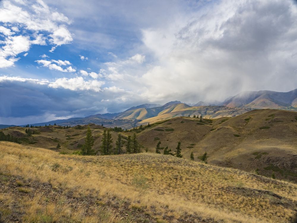 Photograph by Надежда Михайлина