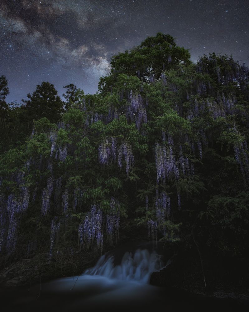Photograph by Yoshiki Abe