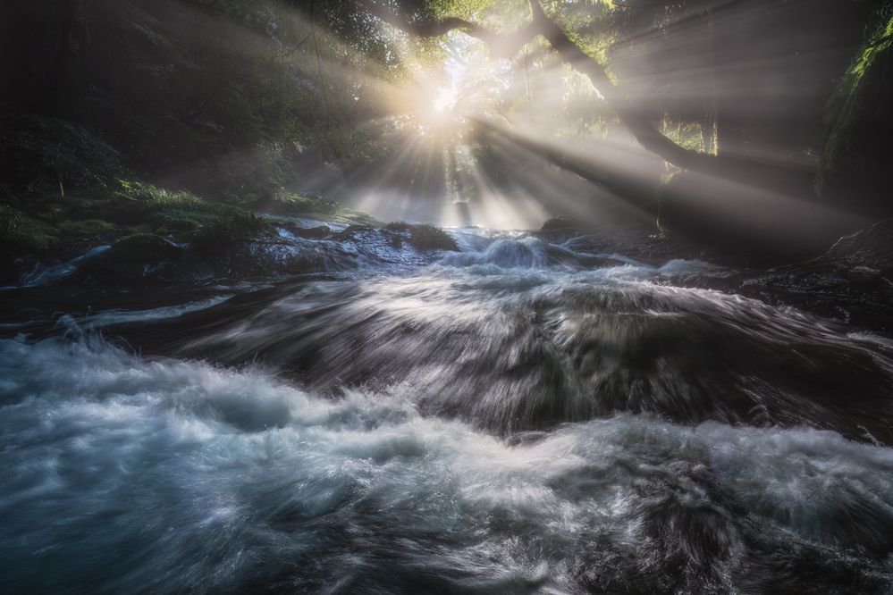 Photograph by Yoshiki Abe