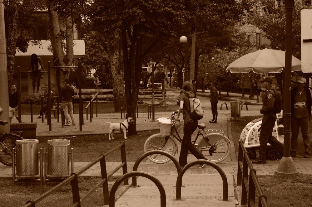 Фотография автора Camilo Martinez