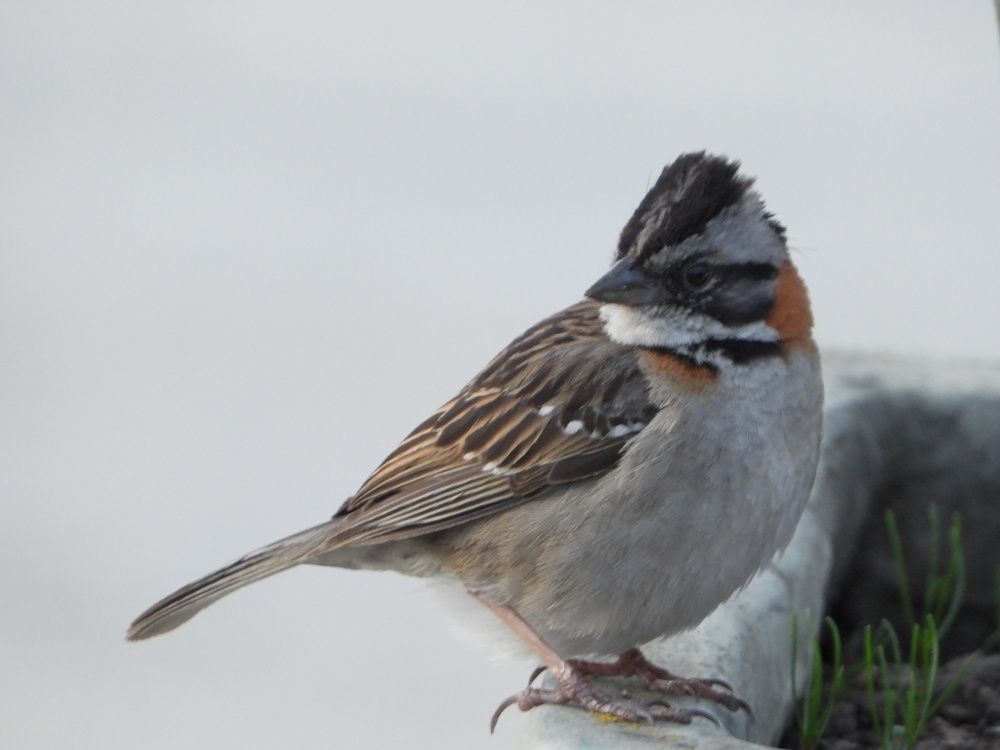 Фотография автора Camilo Martinez