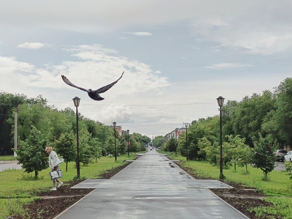 Photograph by Анастасия Чепурнова