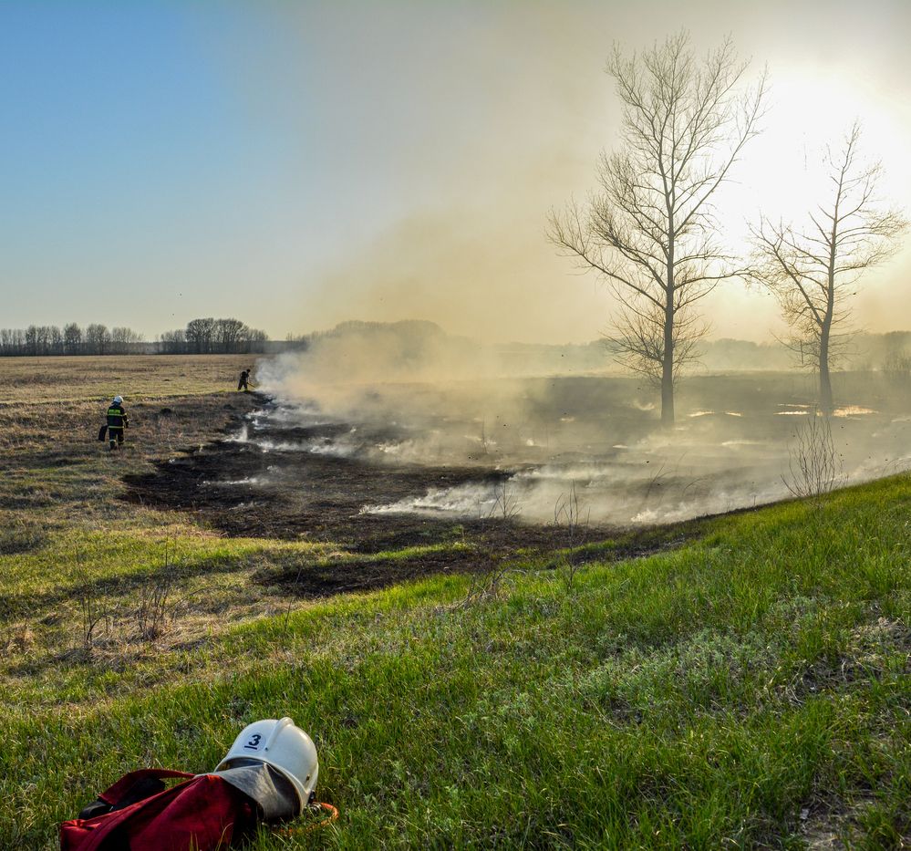 Photograph by Ольга Андронова