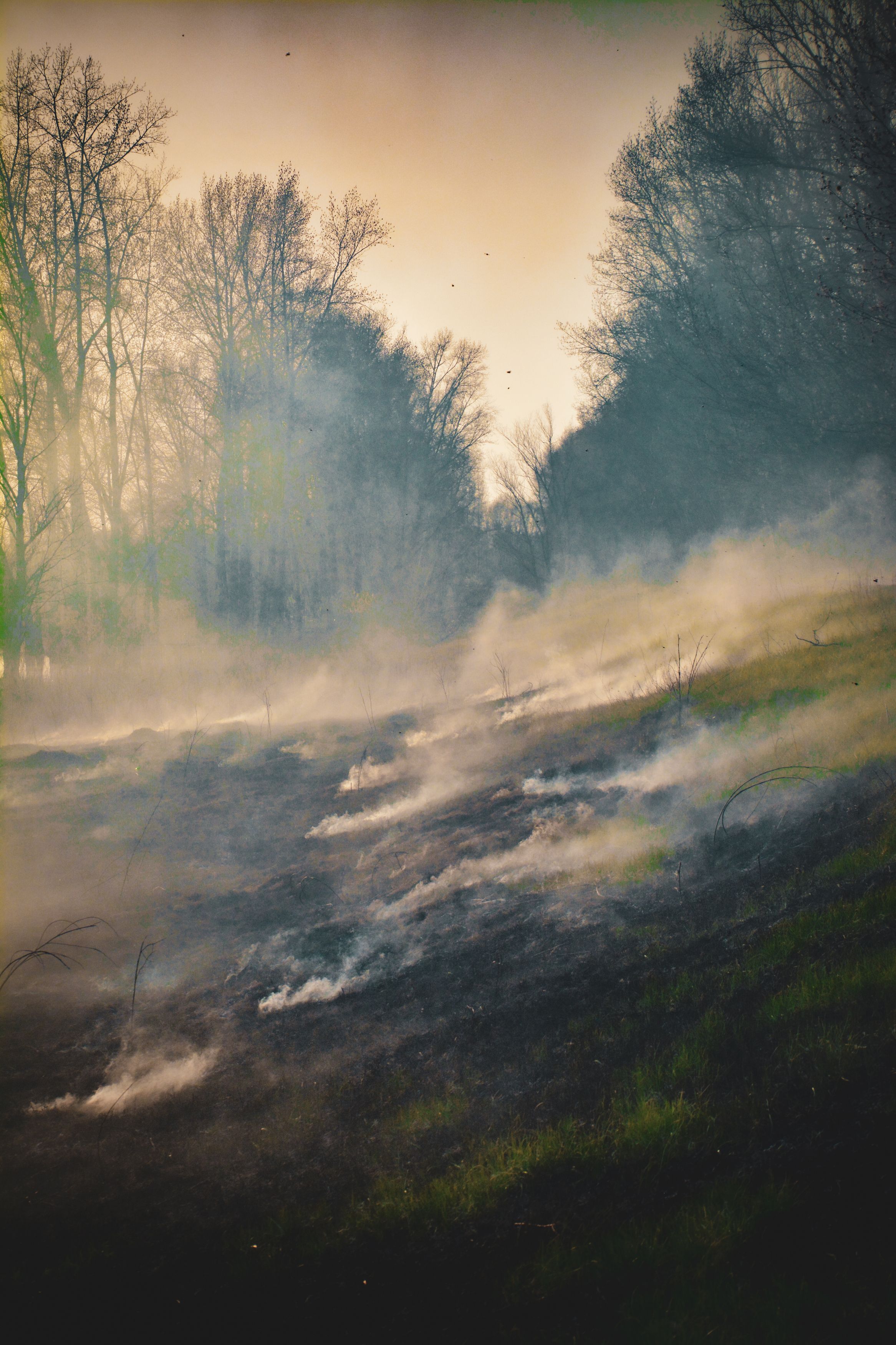 Photograph by Ольга Андронова