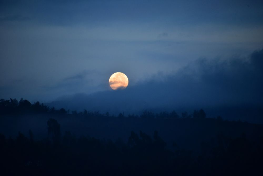 Фотография автора Camilo Martinez