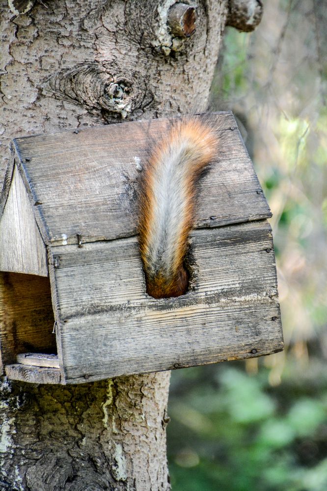 Photograph by Ольга Андронова