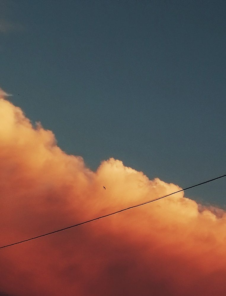 Photograph by Анастасия Чепурнова