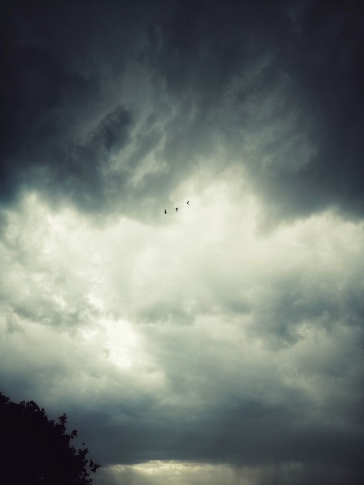 Photograph by Анастасия Чепурнова