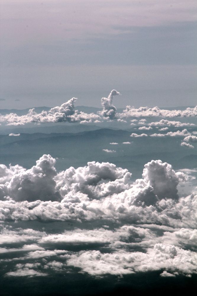 Photograph by Герасимов Игорь