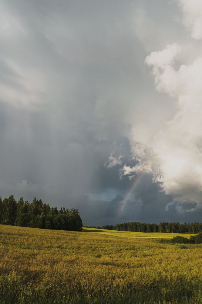 Photograph by JEVGENIJS TRETJAKOVS