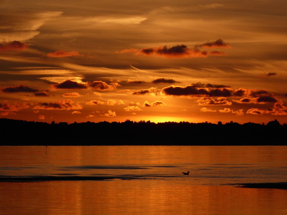 Фотография автора Veronika Lemke