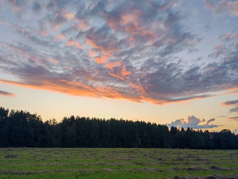 Photograph by Ольга Хромова