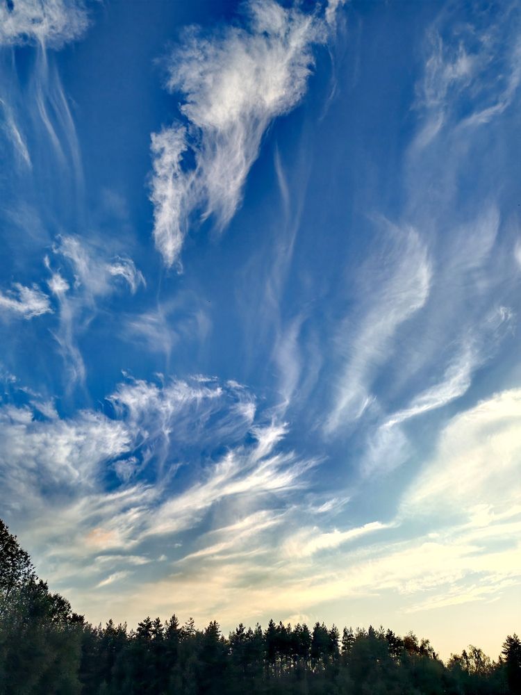 Облака Подмосковья