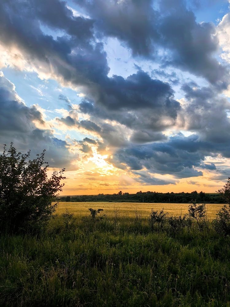 Photograph by Анастасия Доронкина