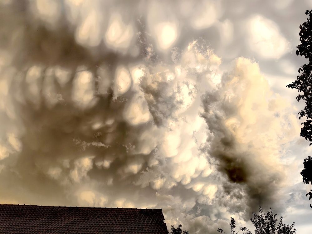 Photograph by Alen Brkić