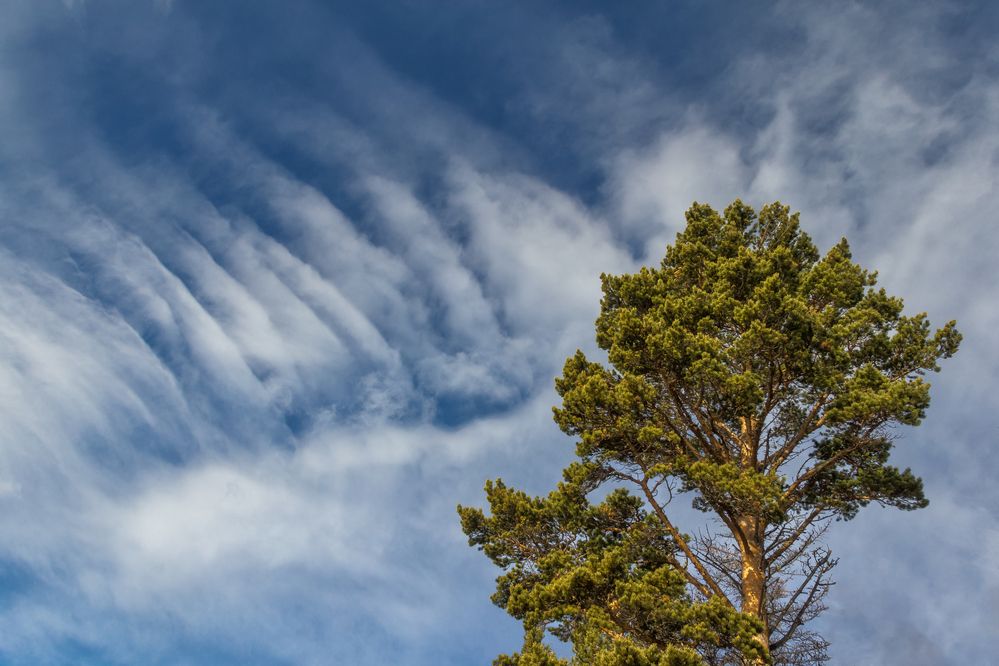 Photograph by Виктор Калинский