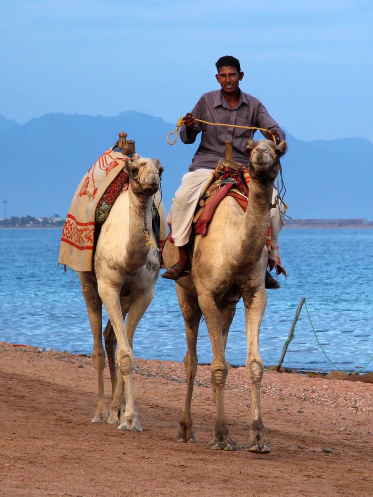 Photograph by Марина