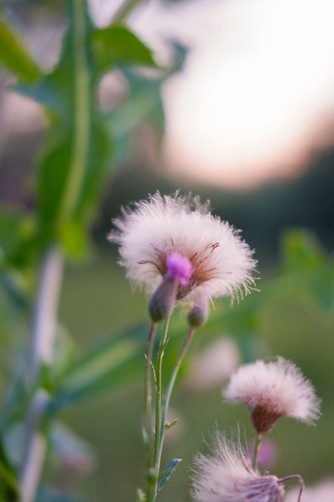 Photograph by Olga Matiashova